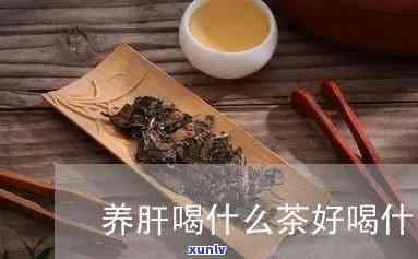 冬天喝什么茶对肝好-冬天喝什么茶对肝脏有用