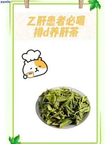 乙肝病人喝什么茶？专家推荐肝脏有益的茶饮方案