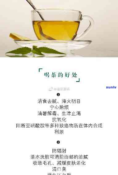 降血脂降血压护肝茶：全方位保护您的健