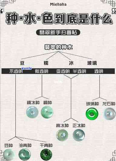 如何选翡翠种子：种、水、色、工全攻略