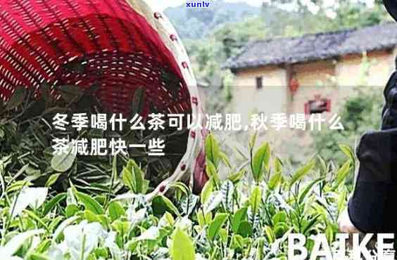 冬喝什么茶减肥效果，冬减肥利器：哪种茶饮效果？