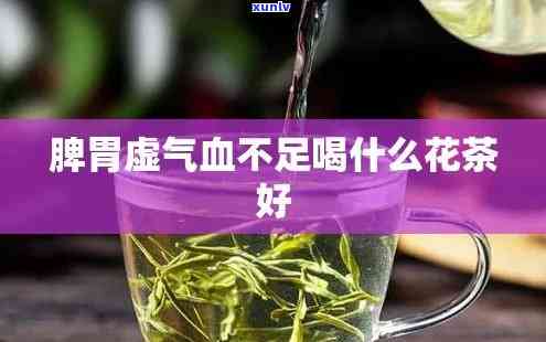 气虚脾虚喝什么茶好-气虚脾虚喝什么茶好呢