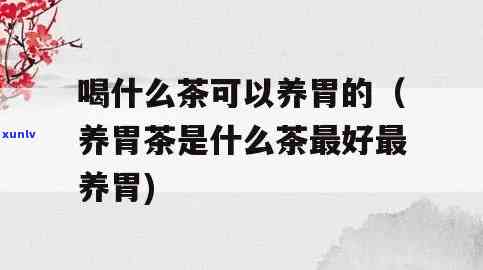 什么茶胃养胃？效果的是哪种？详解推荐