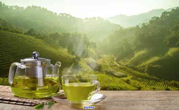 什么茶可以消食开胃的，推荐几种消食开胃的好茶，让你胃口大开！