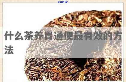 什么茶能有效改善肠胃功能紊乱？详述各类茶叶的功效与作用