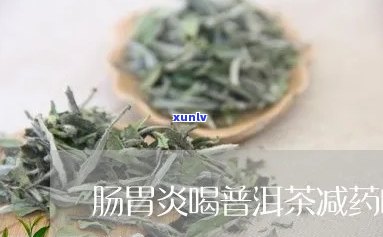 什么茶可以治疗肠胃-什么茶可以治疗肠胃炎