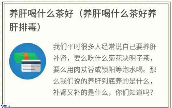 什么茶养肝护肝排肝养胃，探讨茶叶的养生功效：哪些茶可以养肝护肝、排养胃？