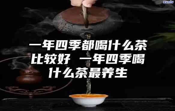 四喝什么茶比较好呢，四养生：不同节适合饮用哪些茶叶？