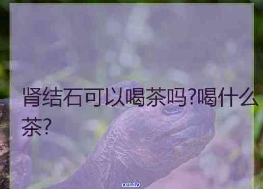 肾病患者喝什么茶好一点，肾病患者的福音：哪种茶最适合饮用？