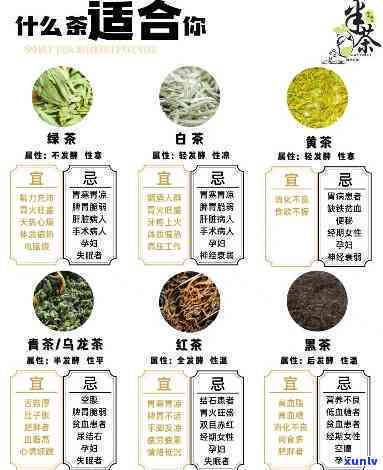 什么茶适合大众口味的人喝？深入了解各种茶的特点与口感