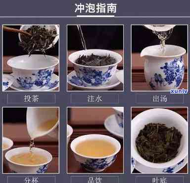 泡什么茶需要，泡什么茶？你需要知道的茶叶知识