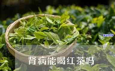 lga肾病可以喝什么茶，问医生：LGA肾病患者适合饮用哪些茶叶？