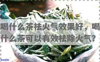 去火暖胃喝什么茶好-去火暖胃喝什么茶好呢