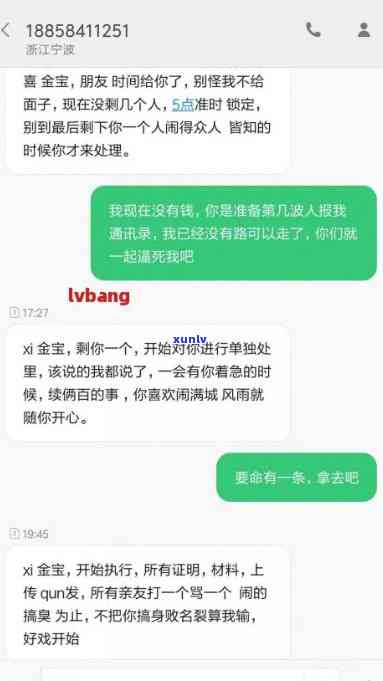 网贷信息本，本：网贷信息参考样式