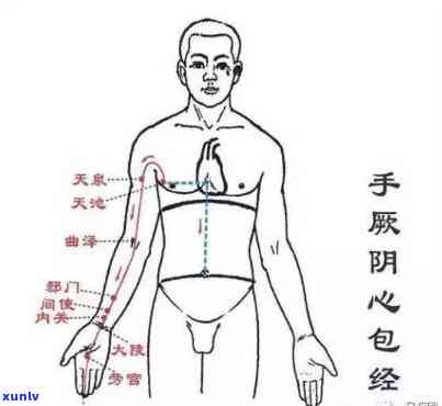 通经络喝什么泡水，揭秘通经络的秘诀：喝什么泡水最有效？