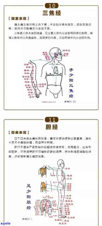 通经络喝什么泡水，揭秘通经络的秘诀：喝什么泡水最有效？