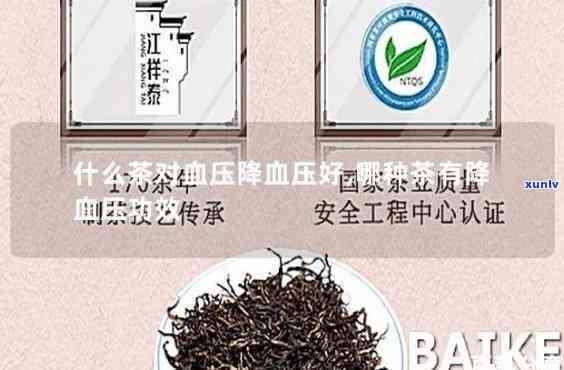 升血压的茶品种、一览