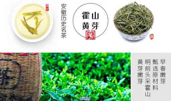 普洱茶放久了能喝吗？为什么普洱茶放置时间长了仍然可以饮用。