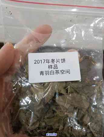 冬片茶好吗，「探究」冬片茶是否好喝？