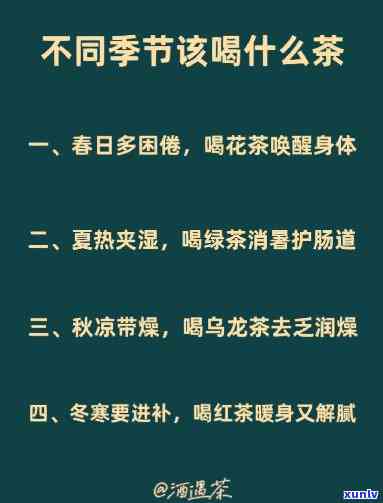 什么节适合喝什么茶？详解选择与注意事