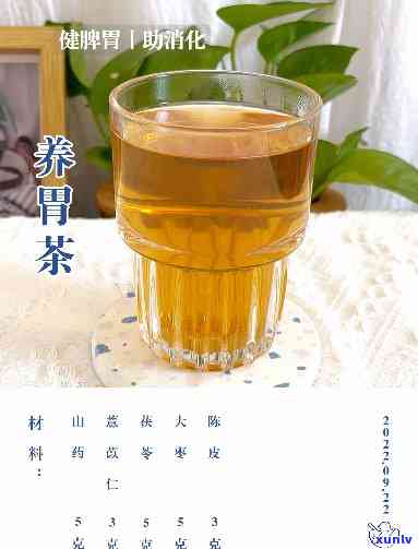 养胃的茶有哪些材料-养胃的茶有哪些材料做的