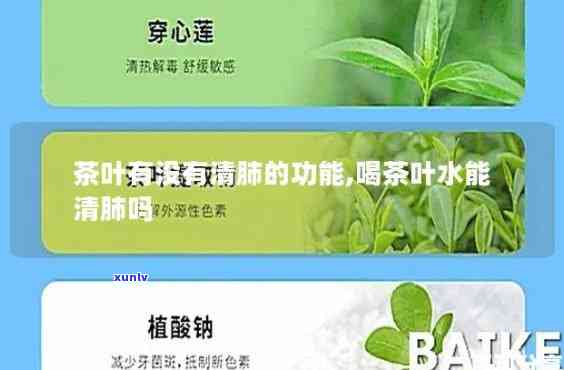 网上的清肺茶有用吗，探究网上清肺茶的功效：真的有用吗？