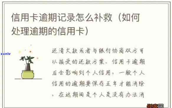 信用卡逾期的6个要点怎么写说明，六大要点解析：怎样解决信用卡逾期