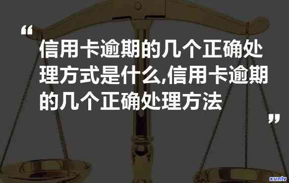 信用卡逾期的6个要点怎么写说明，六大要点解析：如何处理信用卡逾期