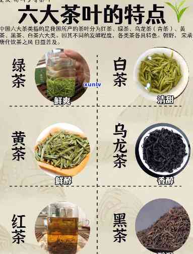 什么茶喝下去有回甜的感觉？探讨多种茶叶的口感特点