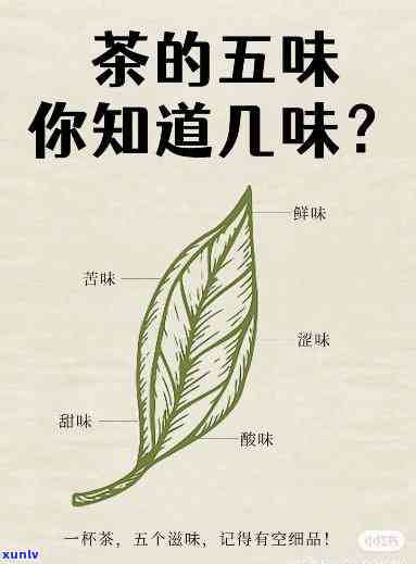 什么茶喝下去有回甜味儿，探秘回之味：哪些茶叶具有独特的回甜口感？