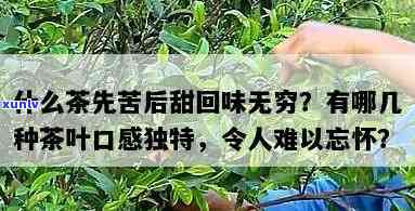 什么茶先苦回味甜，揭秘茶叶的秘密：什么茶先苦后甜？