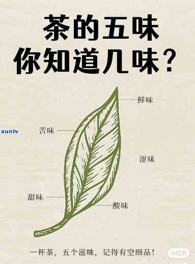 什么茶喝了回味甜-什么茶喝了回味甜好喝