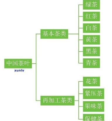 茶王之王属于什么茶种？探讨其分类与类型