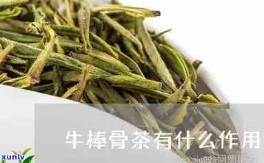 牛棒骨茶有什么作用-牛棒骨茶有什么作用能和其它茶放一起吗?