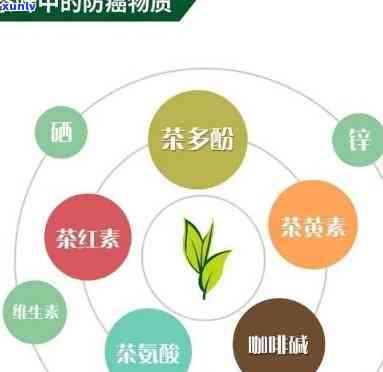 为什么说茶是108岁？探究茶叶与长寿的神秘联系