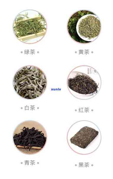 半发酵茶是哪一类茶，探秘茶叶世界：半发酵茶属于哪一类？