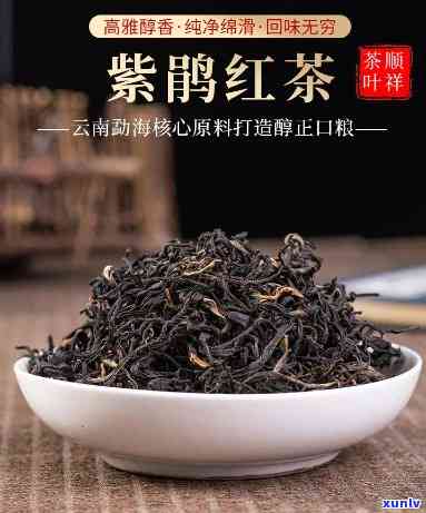 鹃红山茶：它是茶叶吗？探索其特性和图片