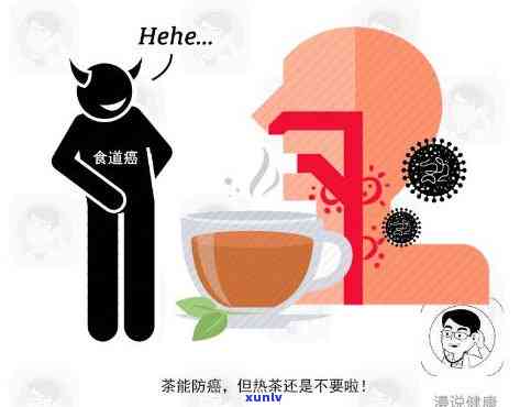 预防癌症泡水喝什么，防癌保健，这些食材泡水喝效果好！