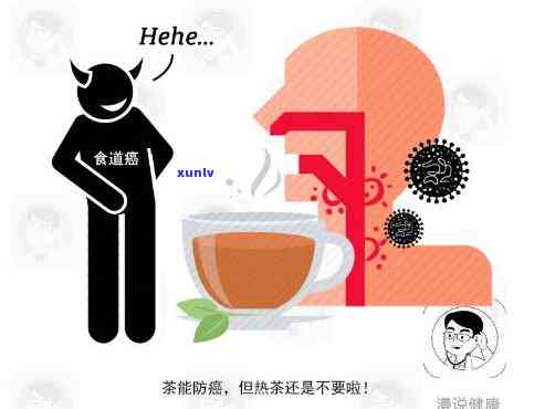 沱茶是普洱的一种吗为什么那么贵？