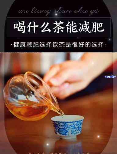 减肥人士必看：什么茶最适合减重？