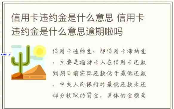 信用卡违约金减免，轻松应对信用卡逾期，申请违约金减免全攻略