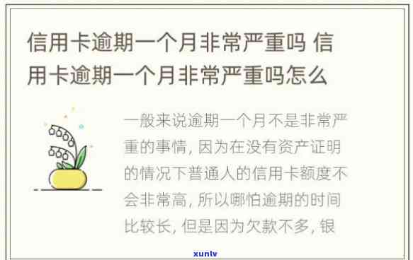 信用卡逾期十几天什么时候更新-信用卡逾期十几天什么时候更新