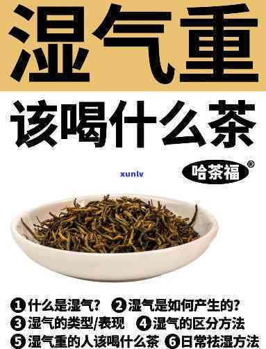 湿气重女性：适合饮用哪些茶叶来缓解？