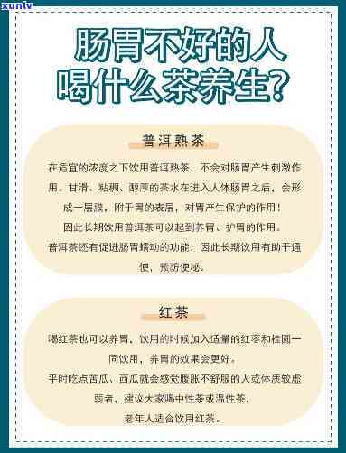 肠胃不好喝点什么茶调理？方案大揭秘！