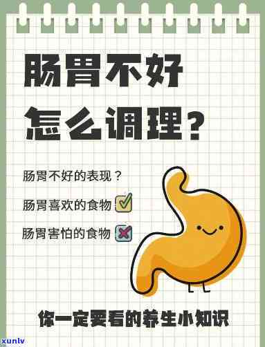 肠胃不好喝什么茶养胃？这里有你想要的答案！