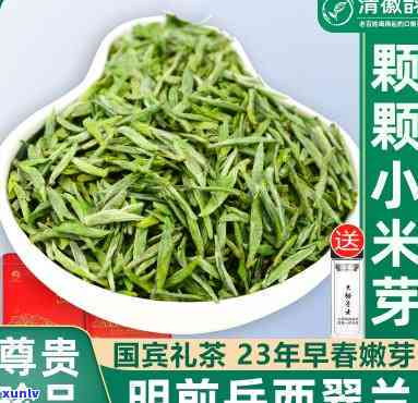 西翠芽和翠兰哪个好，西翠芽与翠兰：哪种茶叶更胜一筹？