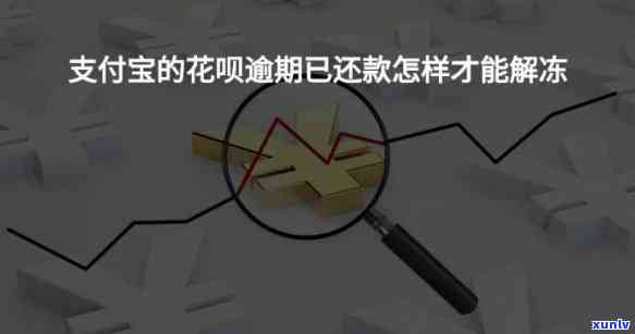 把你花呗逾期和支付宝微信-把你花呗逾期和支付宝微信都冻结了