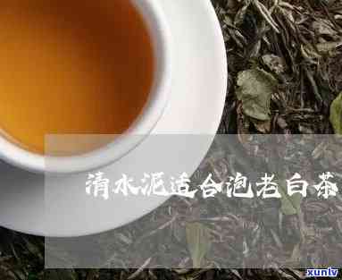 清水泥泡什么茶比较好，清水泥搭配哪种茶叶更出味？一文告诉你答案！