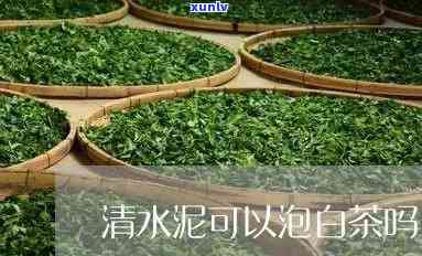 清水泥泡什么茶比较好，清水泥搭配哪种茶叶更出味？一文告诉你答案！