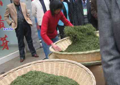 嗓子不好喝点什么茶比较好，嗓子不服？试试这些适合饮用的茶叶！